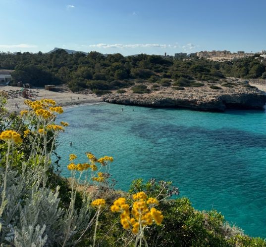 Sustainability image