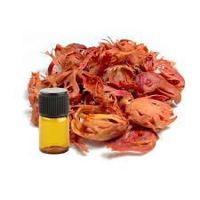 Mace Essential Oil
